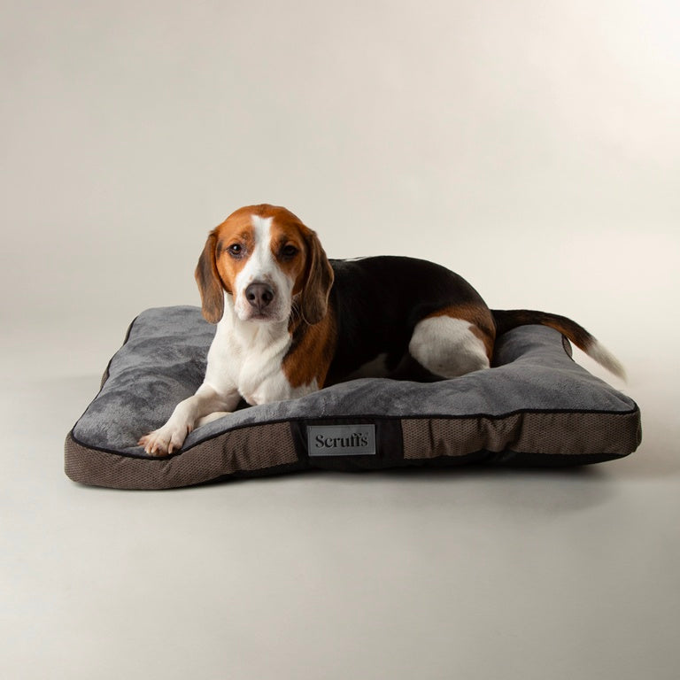 Scruffs Chester Mattress Medium