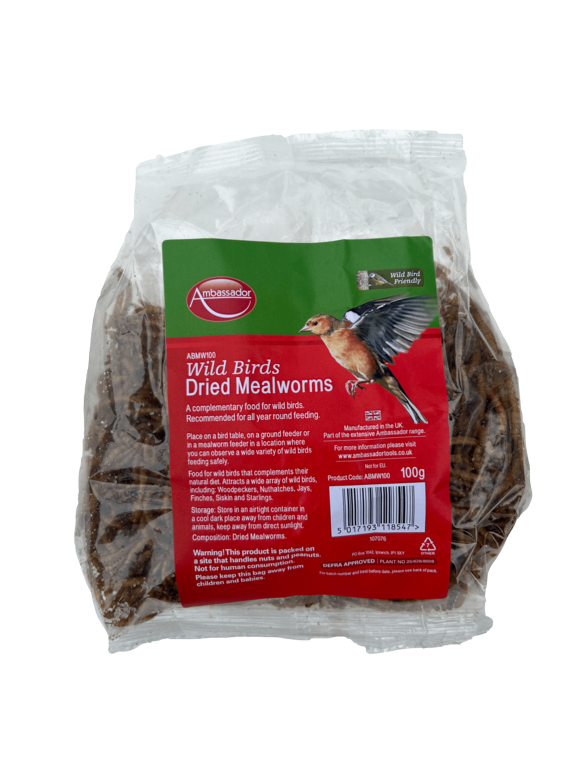Dried Mealworms