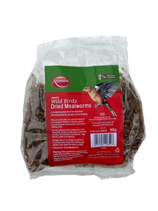 Dried Mealworms