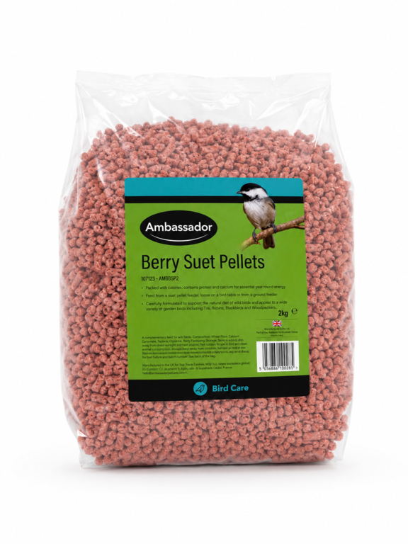 Ambassador Berry Suet Pellets 2kg