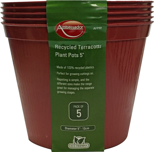 Terracotta Plant Pots