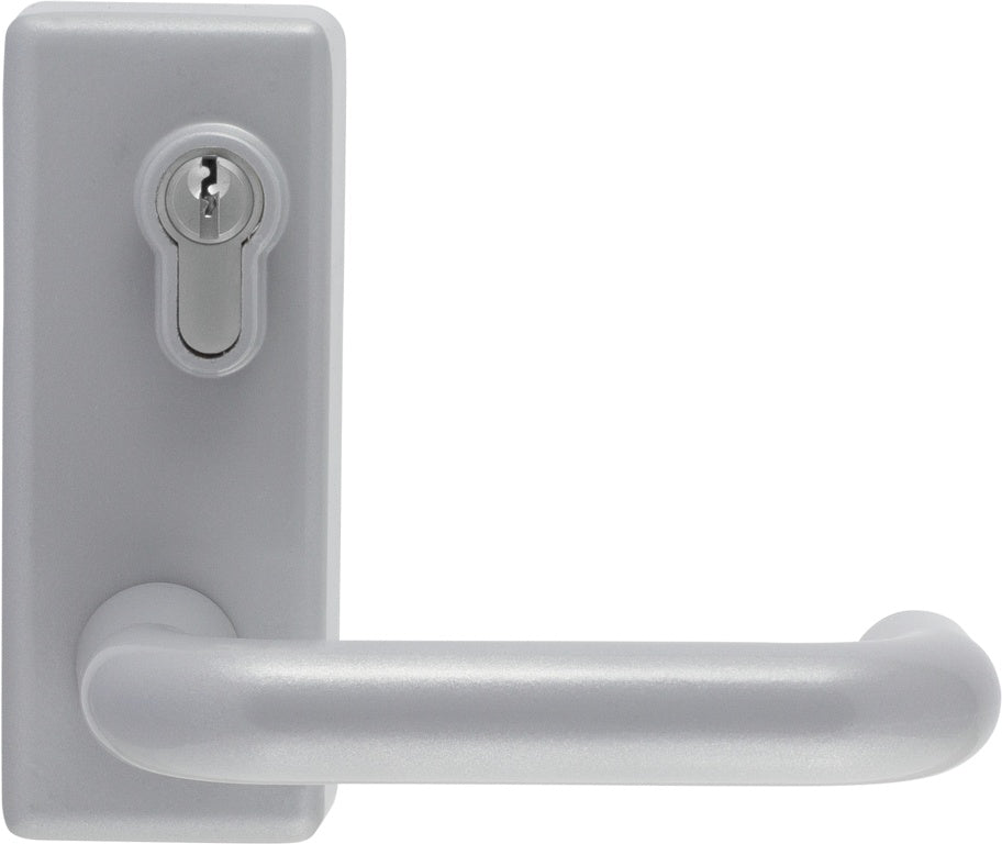 Arrone Outside Access Device With Lever Operation