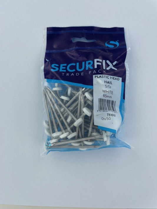 Stainless Steel Plastic Headed Nail White 65mm