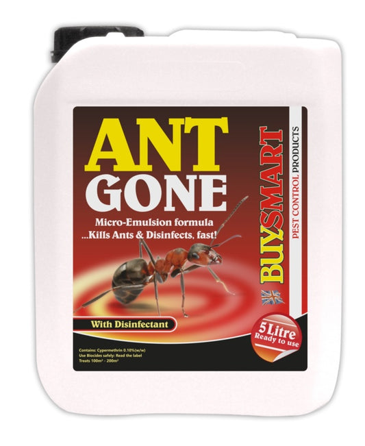 Buysmart Ant Gone Ant Killer 5L Jerrycan