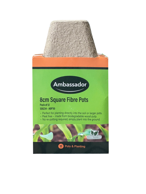 Ambassador 8cm Square Fibre Pots
