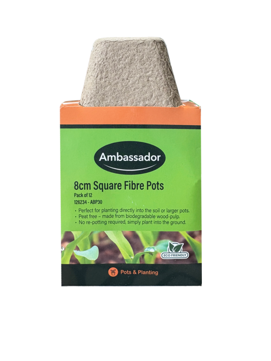 Ambassador 8cm Square Fibre Pots
