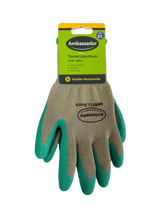 Ambassador Thermal Latex Gloves