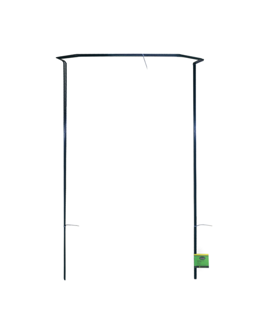 Ambassador Garden Support Stakes Pack 2 100 x 50cm