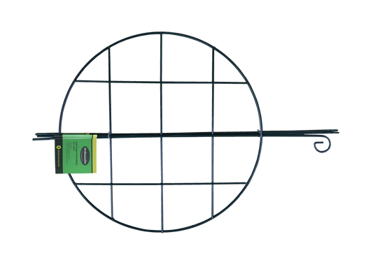 Ambassador Round Support Frames Medium