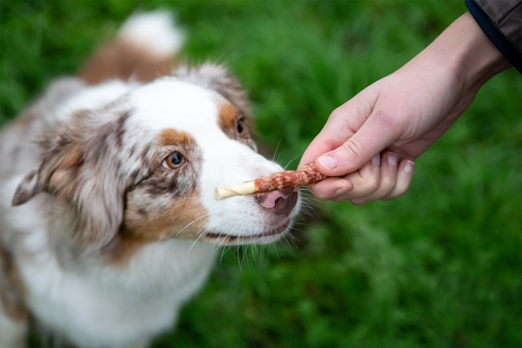 Chewy Sticks With Beef Dog Treats