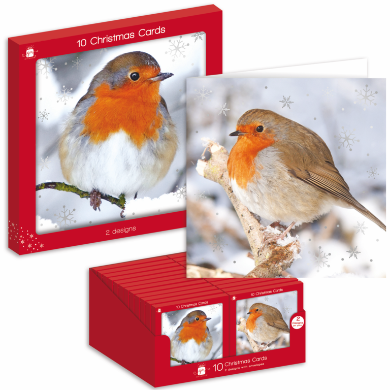 Ig Design Square Christmas Cards Pack 10 Robins