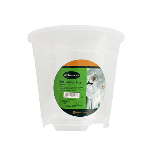 Ambassador Clear Flowerpot 11cm