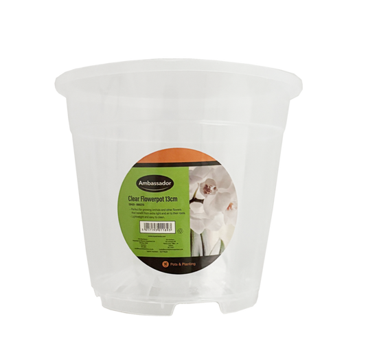 Ambassador Clear Flowerpot 13cm
