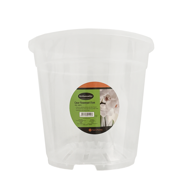 Ambassador Clear Flowerpot 17cm