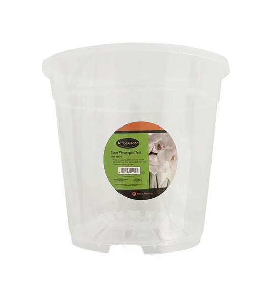 Ambassador Clear Flowerpot 17cm