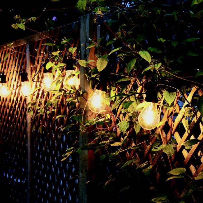 Antheia Solar Festoon Lights