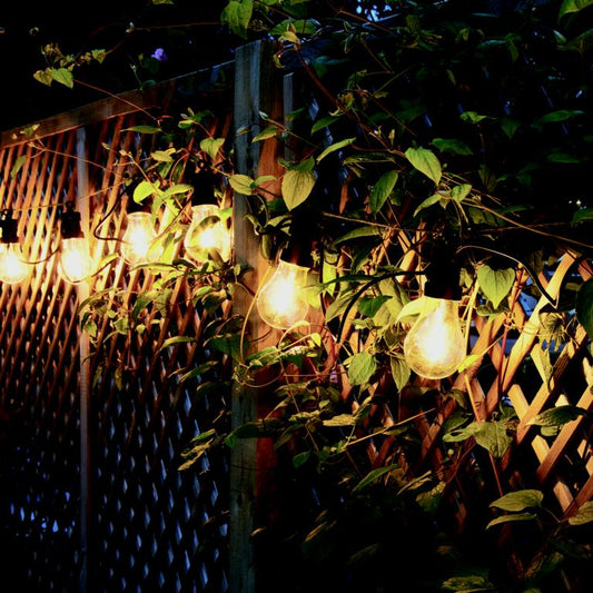 Antheia Solar Festoon Lights