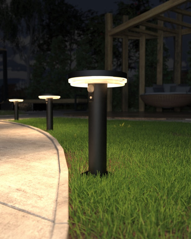 Antheia Solar Spike Light