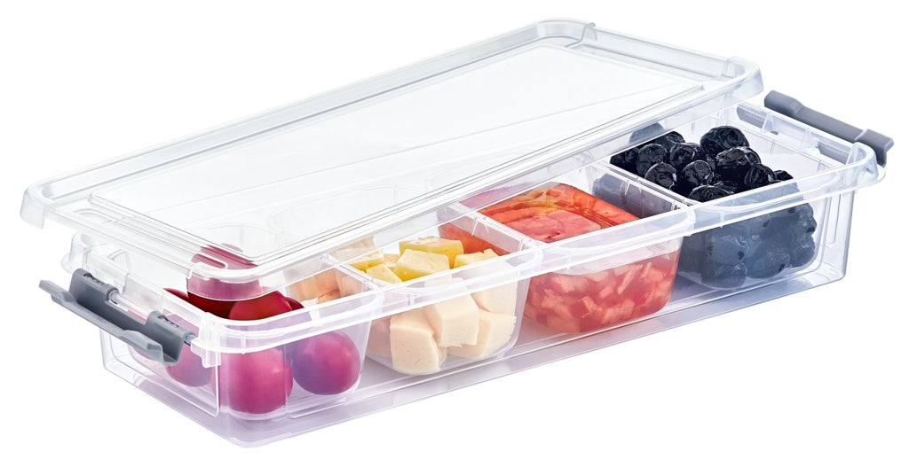 Hobbylife 4 Divider Flat Grand Organiser Box