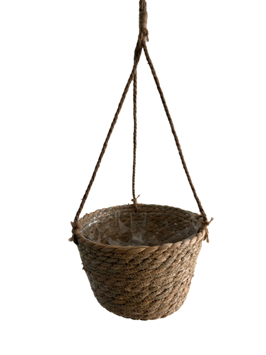Ambassador Oval Woven Hanging Basket 8"