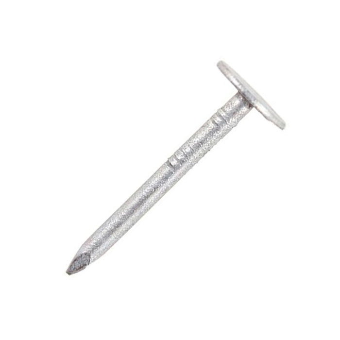 Securpak Large Head Clout Nails