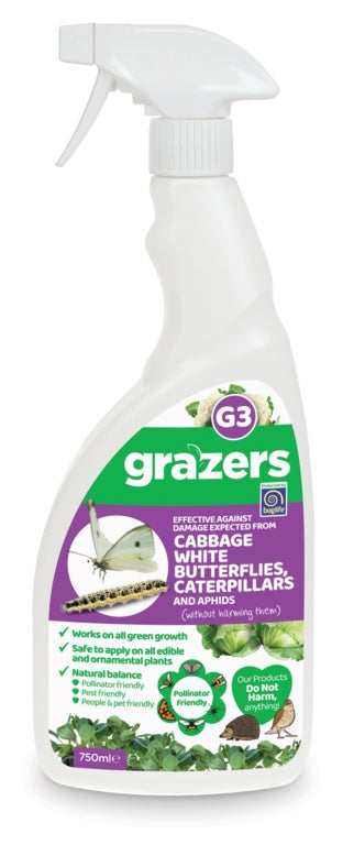 G3 Cabbage White Butterflies & Caterpillars