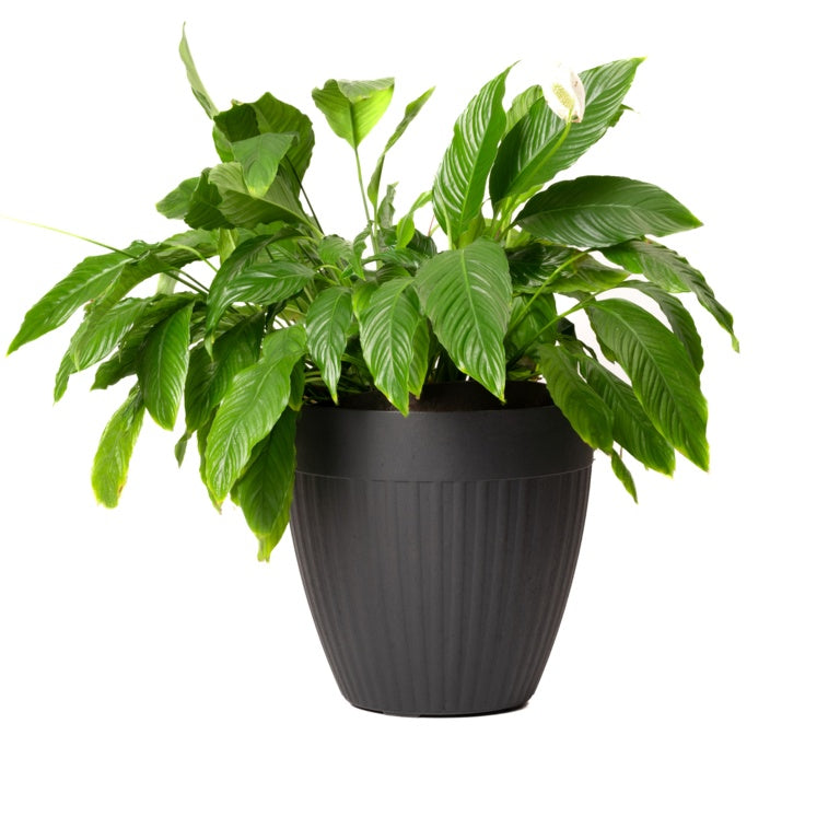 Madison Ribbed Slate Planter