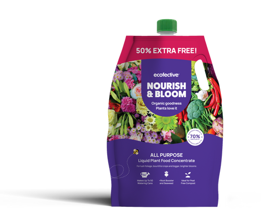 Nourish & Bloom Liquid Plant Feed