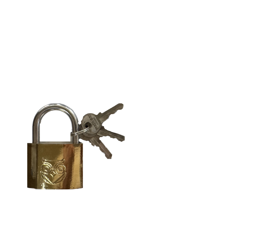 Owler & Banks Brass Coated Padlock 50mm