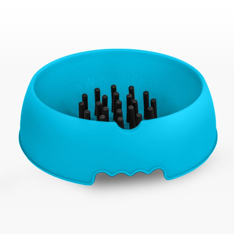 Slow Muncher Small Dog Bowl Blue External: 210mm Internal: 160mm