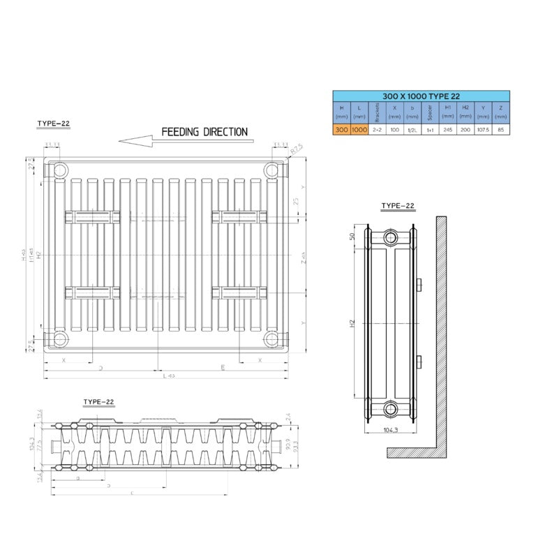 Evolve Double Compact Radiator 300 x 1000mm