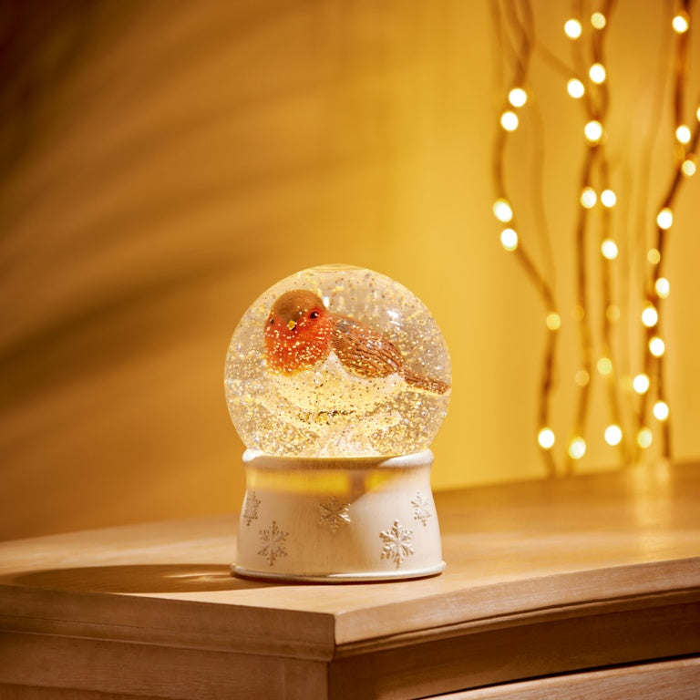 Premier Lit Water Globe With Robin 18cm