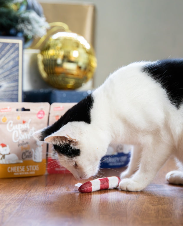 Rosewood Cupid & Comet Christmas Dinner Cat Stocking
