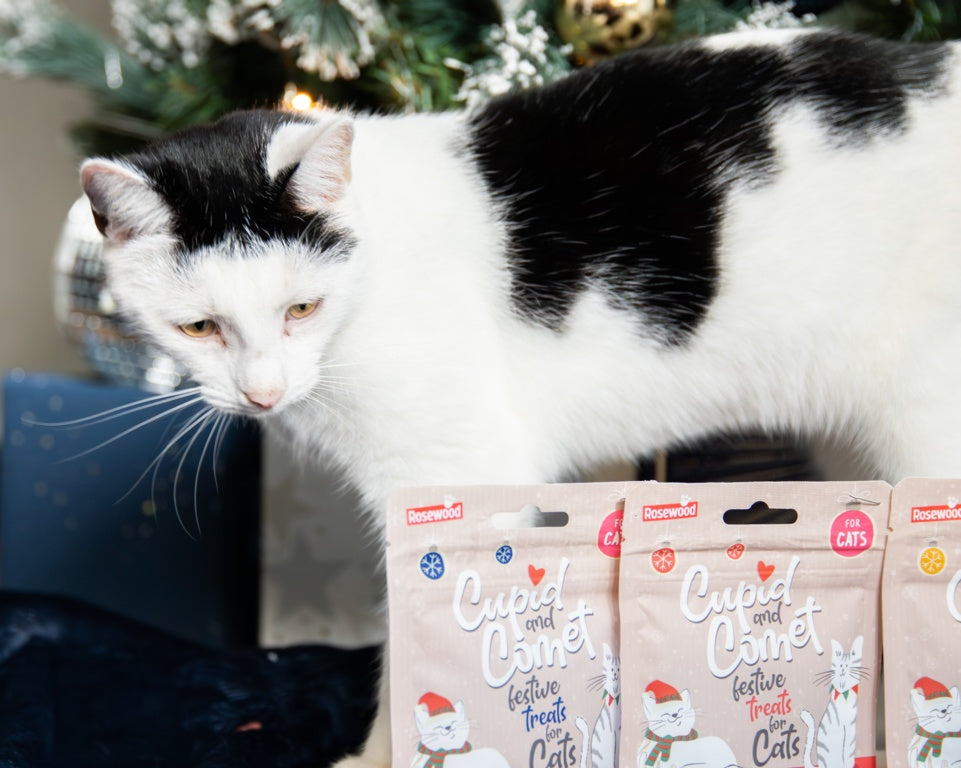 Rosewood Cupid & Comet Christmas Dinner Cat Stocking