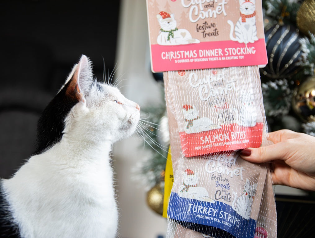 Rosewood Cupid & Comet Christmas Dinner Cat Stocking