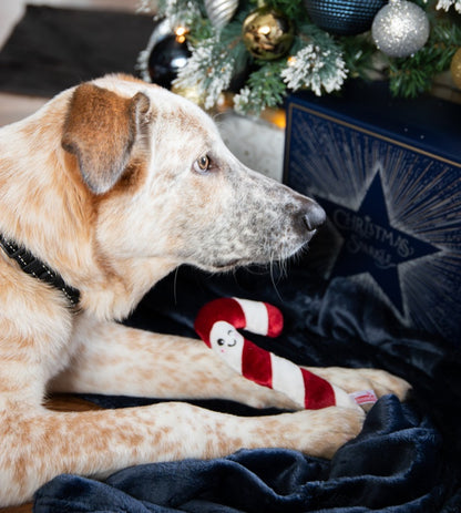 Rosewood Cupid & Comet Christmas Dinner Dog Stocking