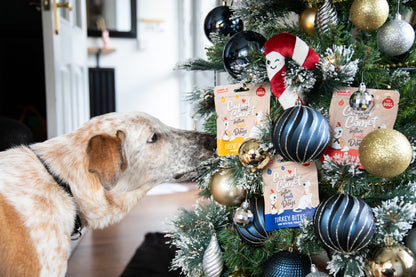 Rosewood Cupid & Comet Christmas Dinner Dog Stocking