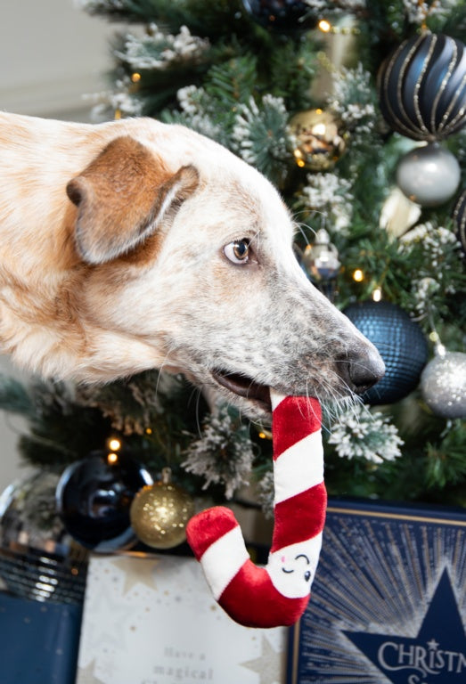 Rosewood Cupid & Comet Christmas Dinner Dog Stocking