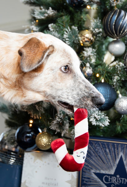 Rosewood Cupid & Comet Christmas Dinner Dog Stocking