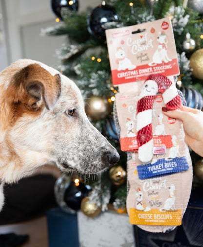 Rosewood Cupid & Comet Christmas Dinner Dog Stocking