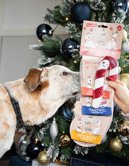 Rosewood Cupid & Comet Christmas Dinner Dog Stocking