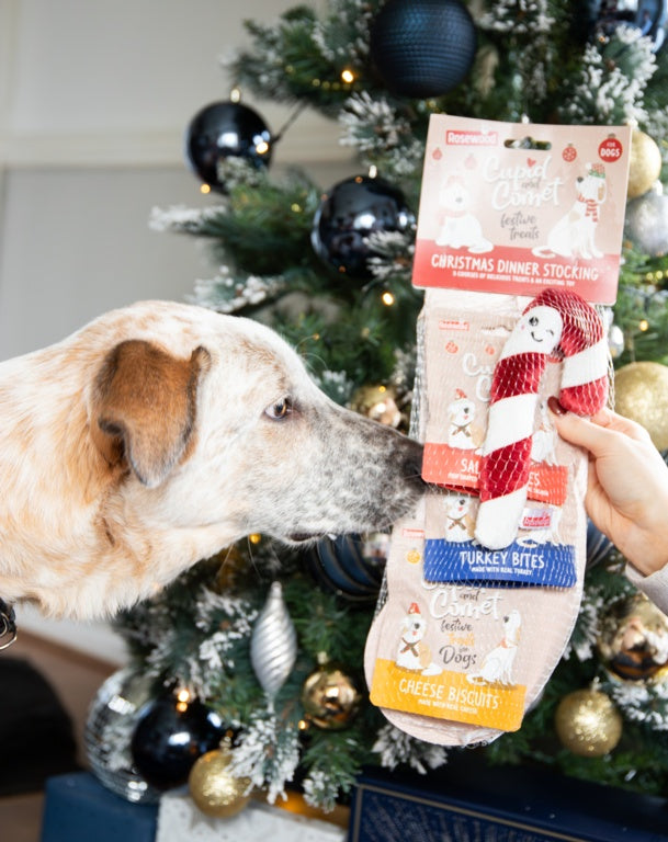 Rosewood Cupid & Comet Christmas Dinner Dog Stocking