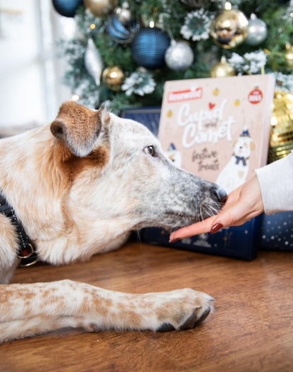 Rosewood Cupid & Comet Luxury Deli Advent Calendar For Dog 100g