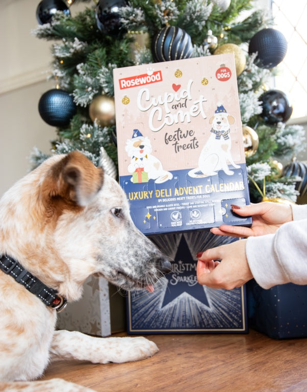 Rosewood Cupid & Comet Luxury Deli Advent Calendar For Dog 100g
