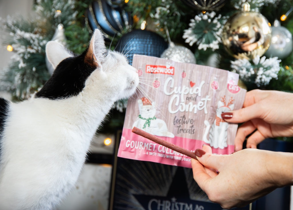 Rosewood Cupid & Comet Cat Collagen Festive Sticks Dk&Trky 5g