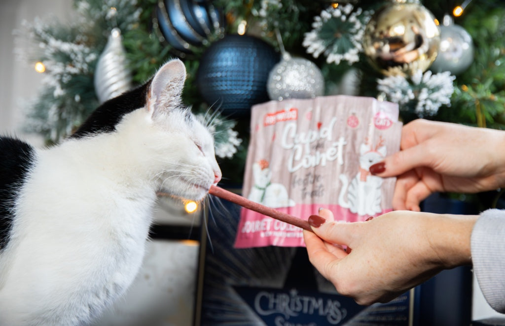 Rosewood Cupid & Comet Cat Collagen Festive Sticks Dk&Trky 5g