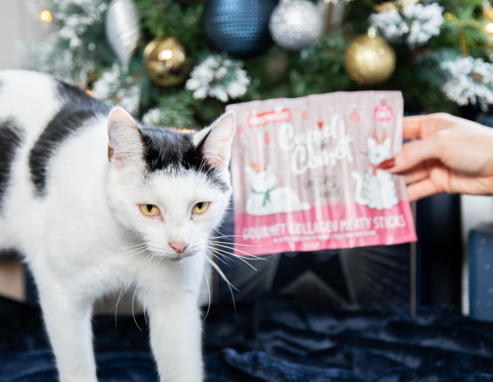 Rosewood Cupid & Comet Cat Collagen Festive Sticks Dk&Trky 5g