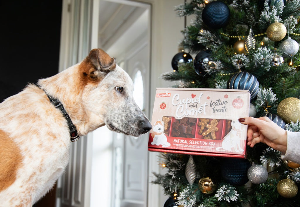 Rosewood Cupid & Comet Natural Selection Gift Box For Dogs 175g
