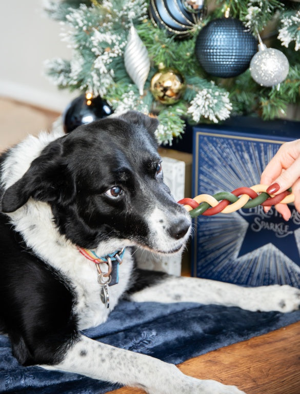 Rosewood Cupid & Comet Rawhide Free Gift Box 280g