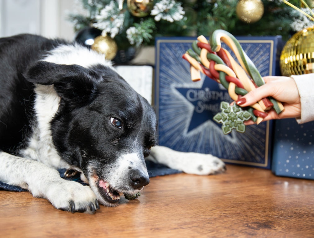 Rosewood Cupid & Comet Rawhide Free Gift Box 280g